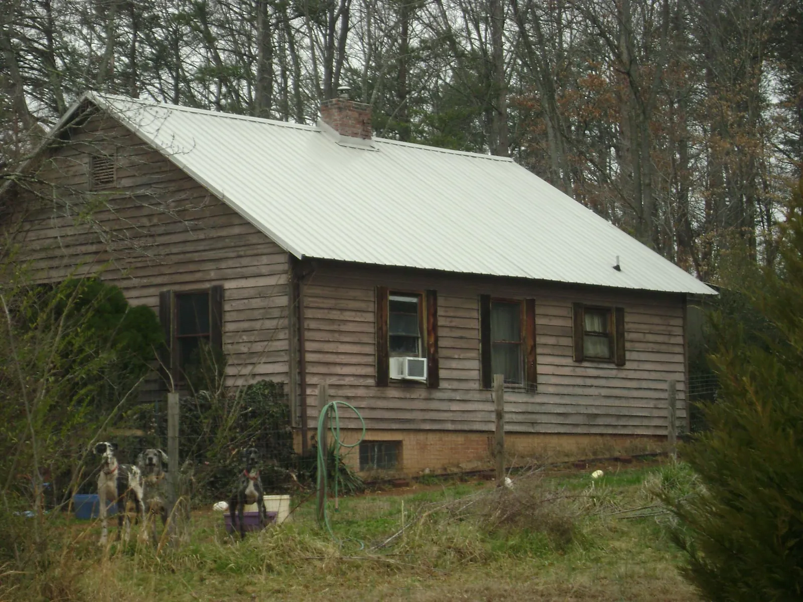 White metal roof on an old wood sided farmhouse, from a Asphalt Shingle Roof Repair job in Loughman